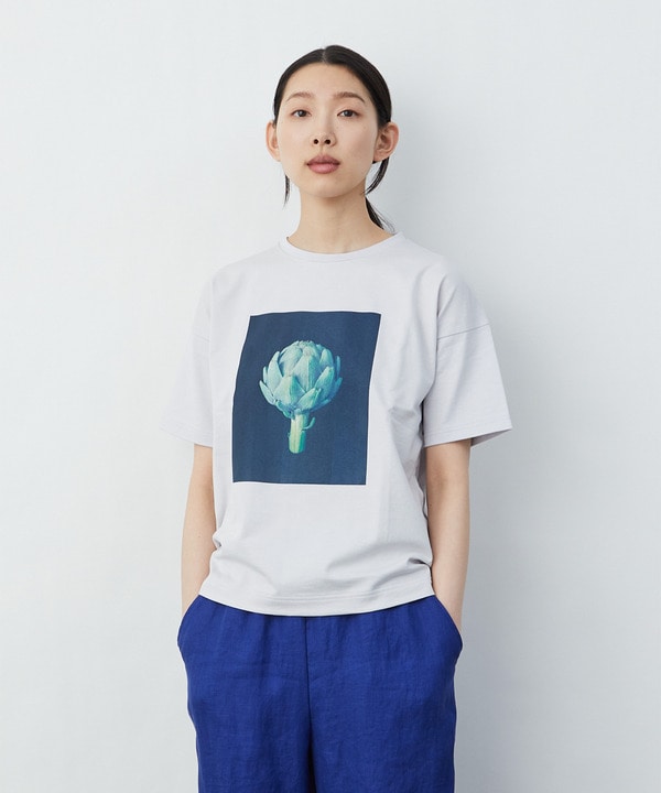 【LOISIR】アーティストコラボ：ベジタブルピクチャープリントTシャツ