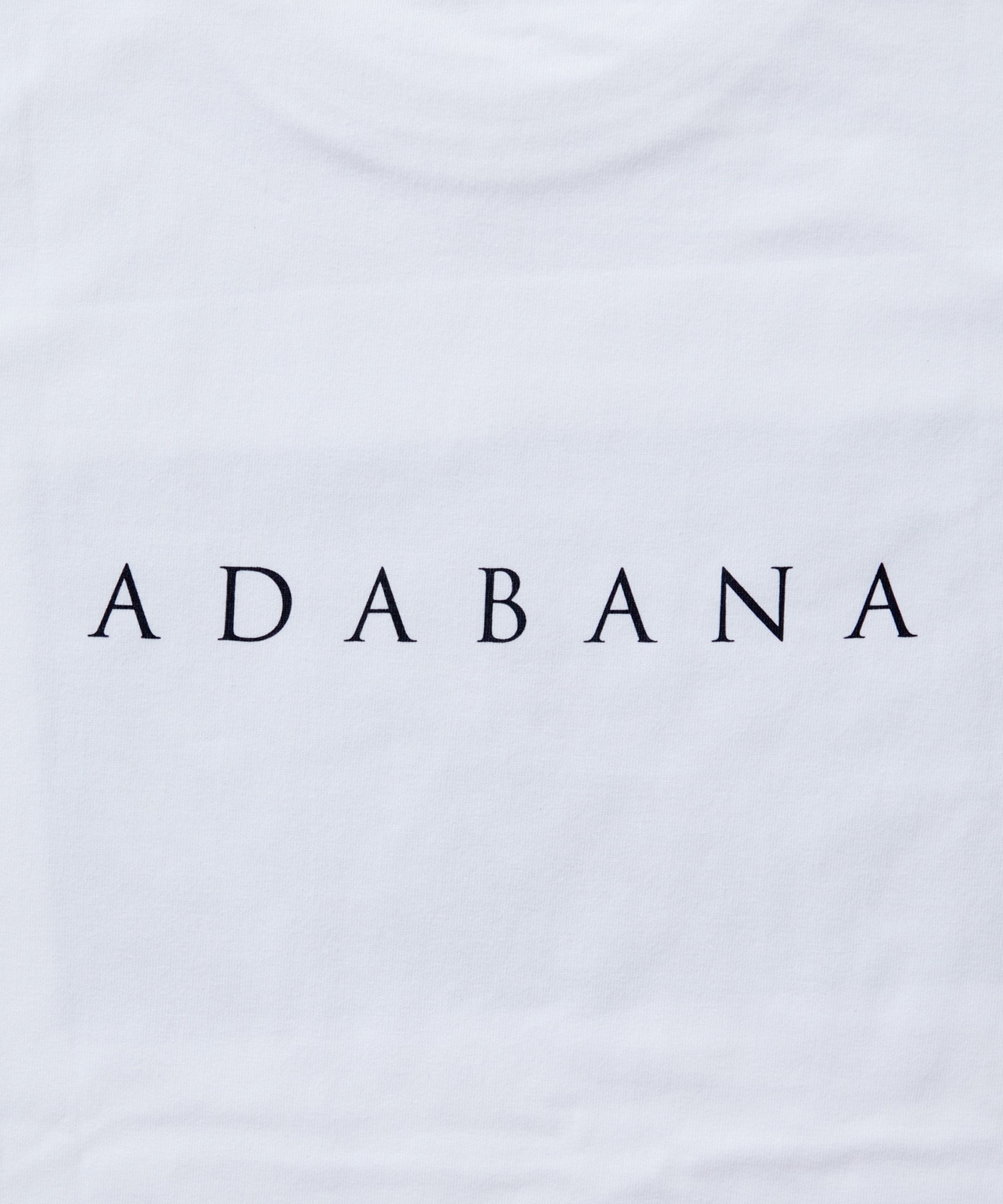 【LOISIR】【映画『徒花-ADABANA-』コラボ】フォトTシャツ 詳細画像 ホワイト系その他 12