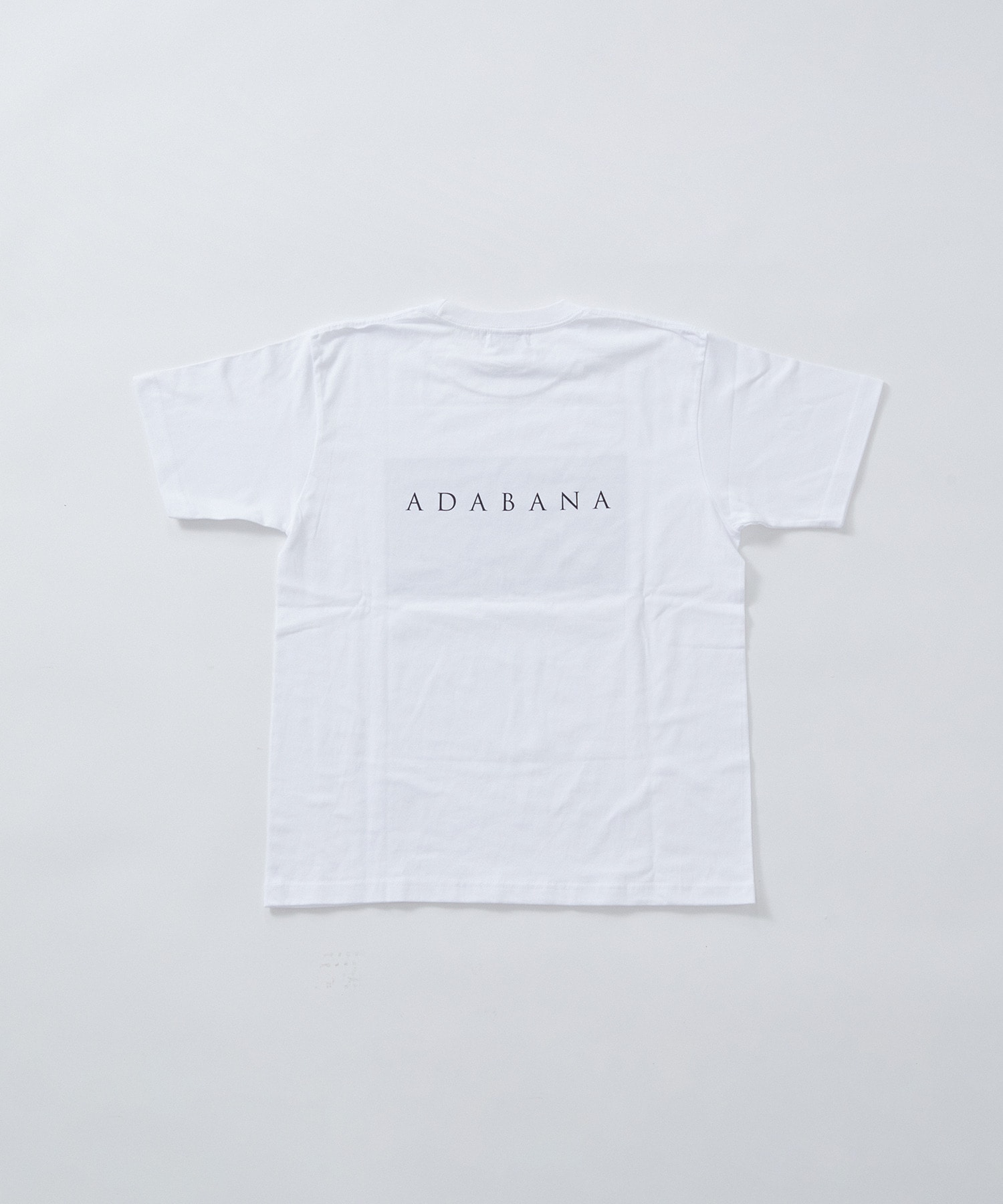 【LOISIR】【映画『徒花-ADABANA-』コラボ】フォトTシャツ 詳細画像 ホワイト系その他 2