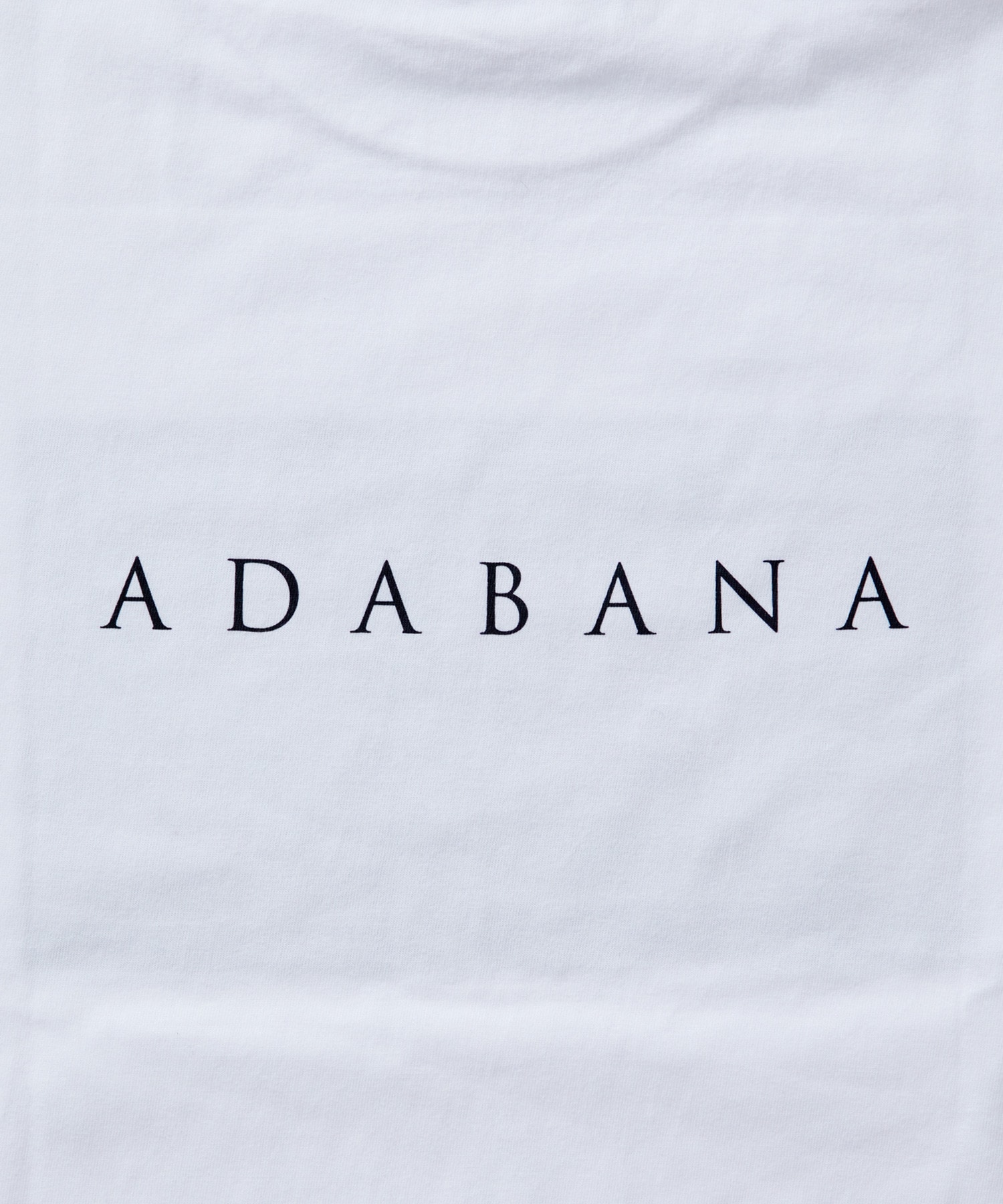 【LOISIR】【映画『徒花-ADABANA-』コラボ】フォトTシャツ 詳細画像 ホワイト系その他 4