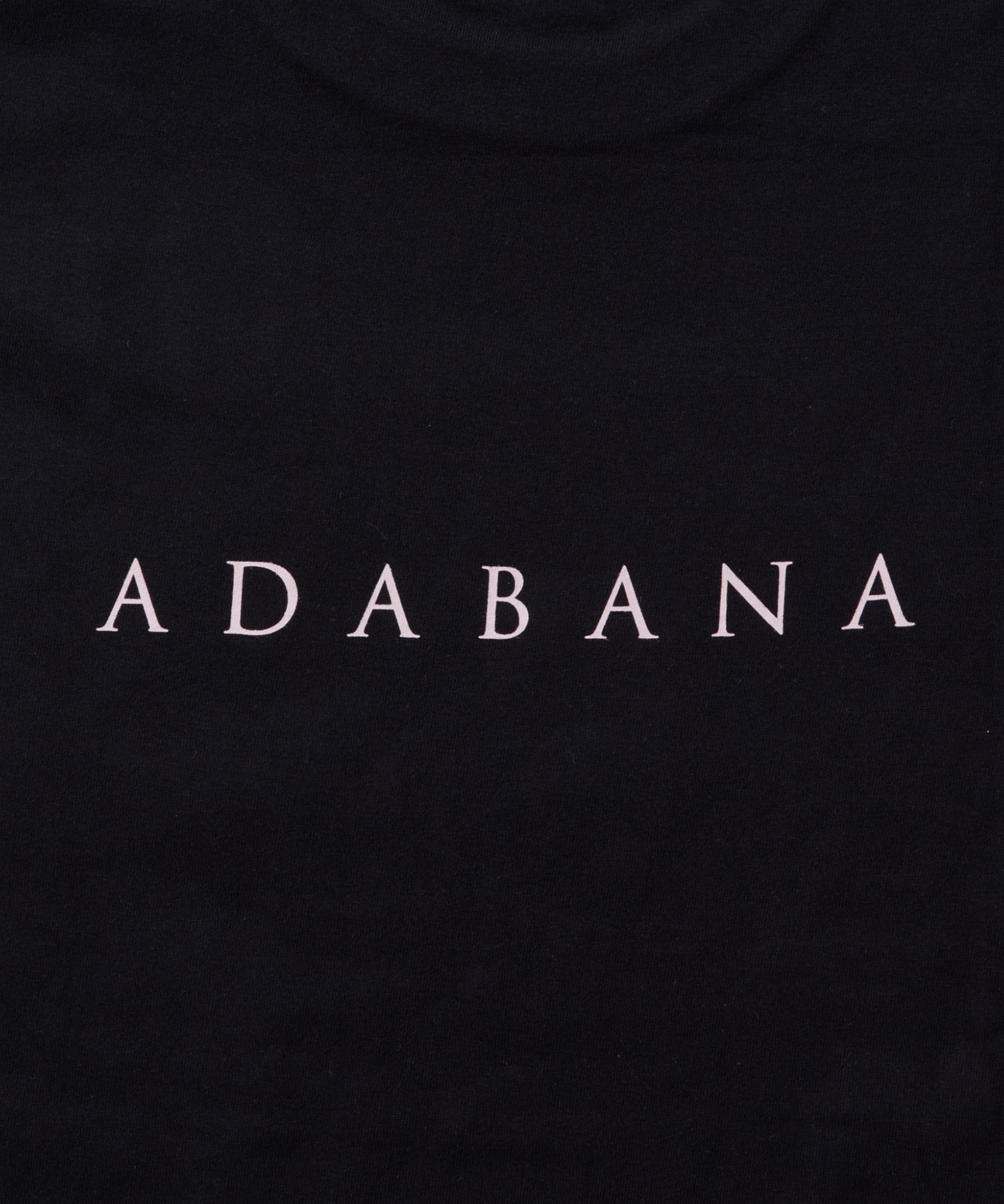 【LOISIR】【映画『徒花-ADABANA-』コラボ】フォトTシャツ 詳細画像 ホワイト系その他 8