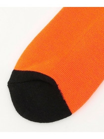 【FRAPBOIS PARK】ケイコウパイルソックス 詳細画像 ライム 3