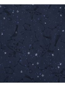 【ADIEU TRISTESSE】｜2BUY10%OFF・3BUY20%OFF｜星空プリント＆刺繍ワンピース 詳細画像 ネイビー 15