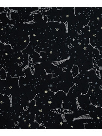 【ADIEU TRISTESSE】｜2BUY10%OFF・3BUY20%OFF｜星空プリント＆刺繍ワンピース 詳細画像 ネイビー 16