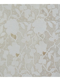 【ADIEU TRISTESSE】ケミカルレースブラウス 詳細画像 オフホワイト 13