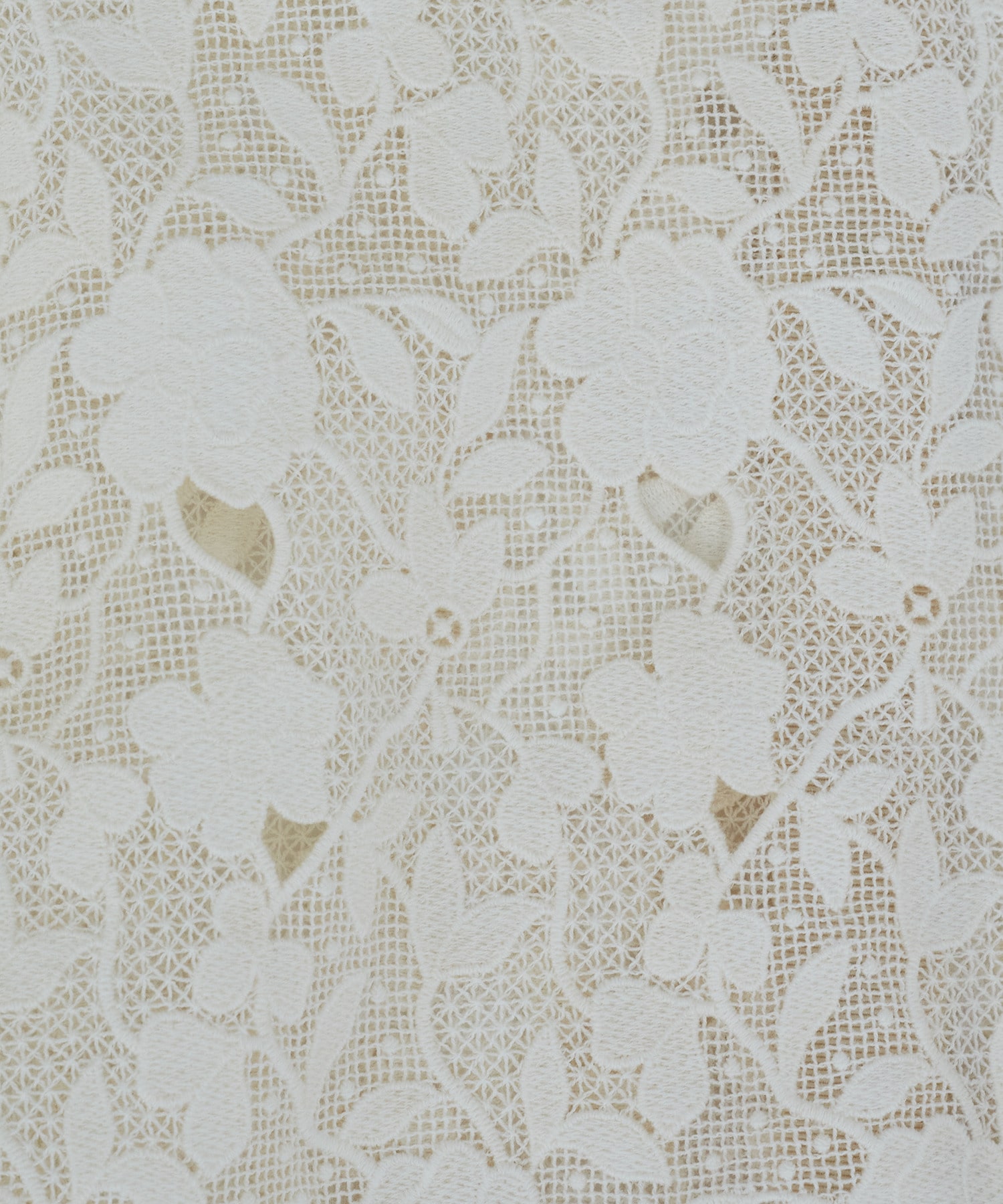 【ADIEU TRISTESSE】ケミカルレースブラウス 詳細画像 オフホワイト 13