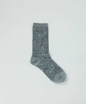 【ADIEU TRISTESSE】｜2BUY10%OFF・3BUY20%OFF｜星座柄ソックス 詳細画像 グレー系その他 1