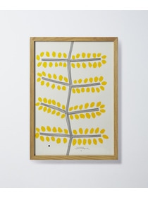 【congés payés】【山口一郎さん原画】ミモザ 詳細画像 A 1