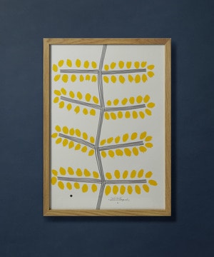 【congés payés】【山口一郎さん原画】ミモザ 詳細画像 A 1