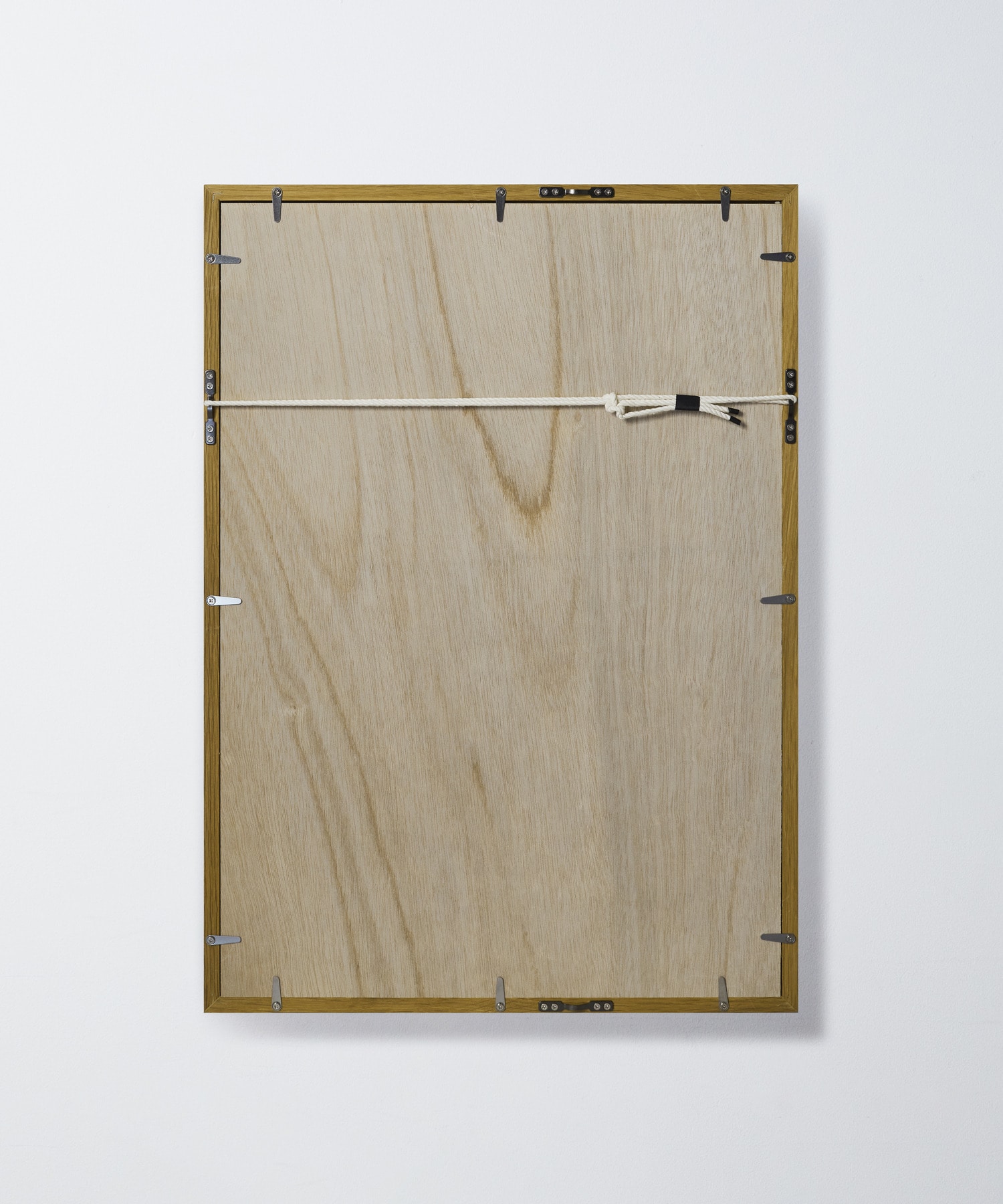 【congés payés】【山口一郎さん原画】キンモクセイ 詳細画像 A 2