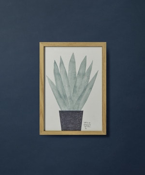 【congés payés】【山口一郎さん原画】ユッカロストラータ 詳細画像 A 1