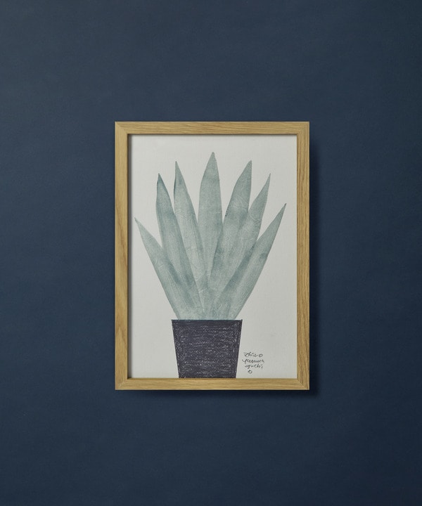 【congés payés】【山口一郎さん原画】ユッカロストラータ