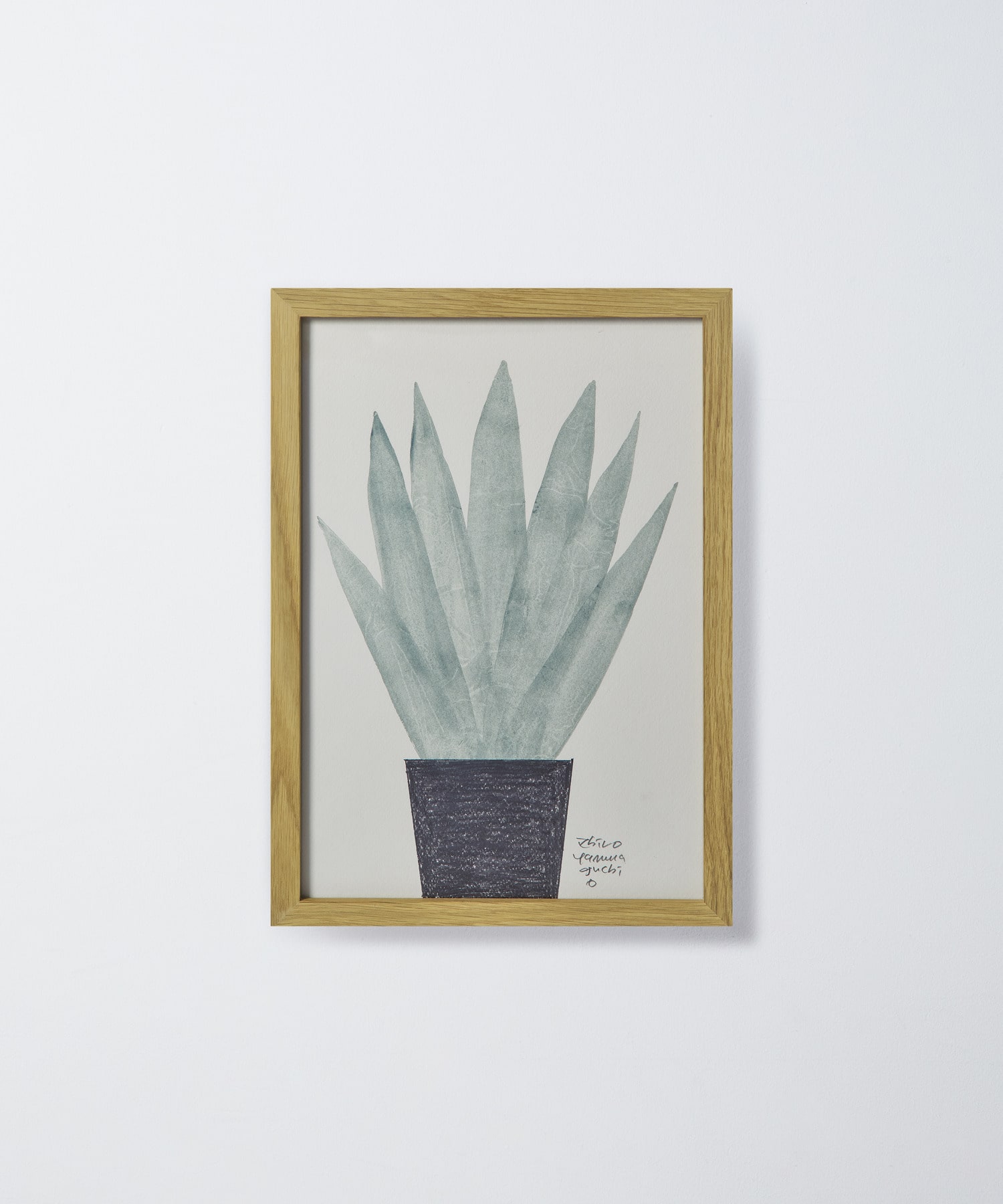 【congés payés】【山口一郎さん原画】ユッカロストラータ 詳細画像 A 1