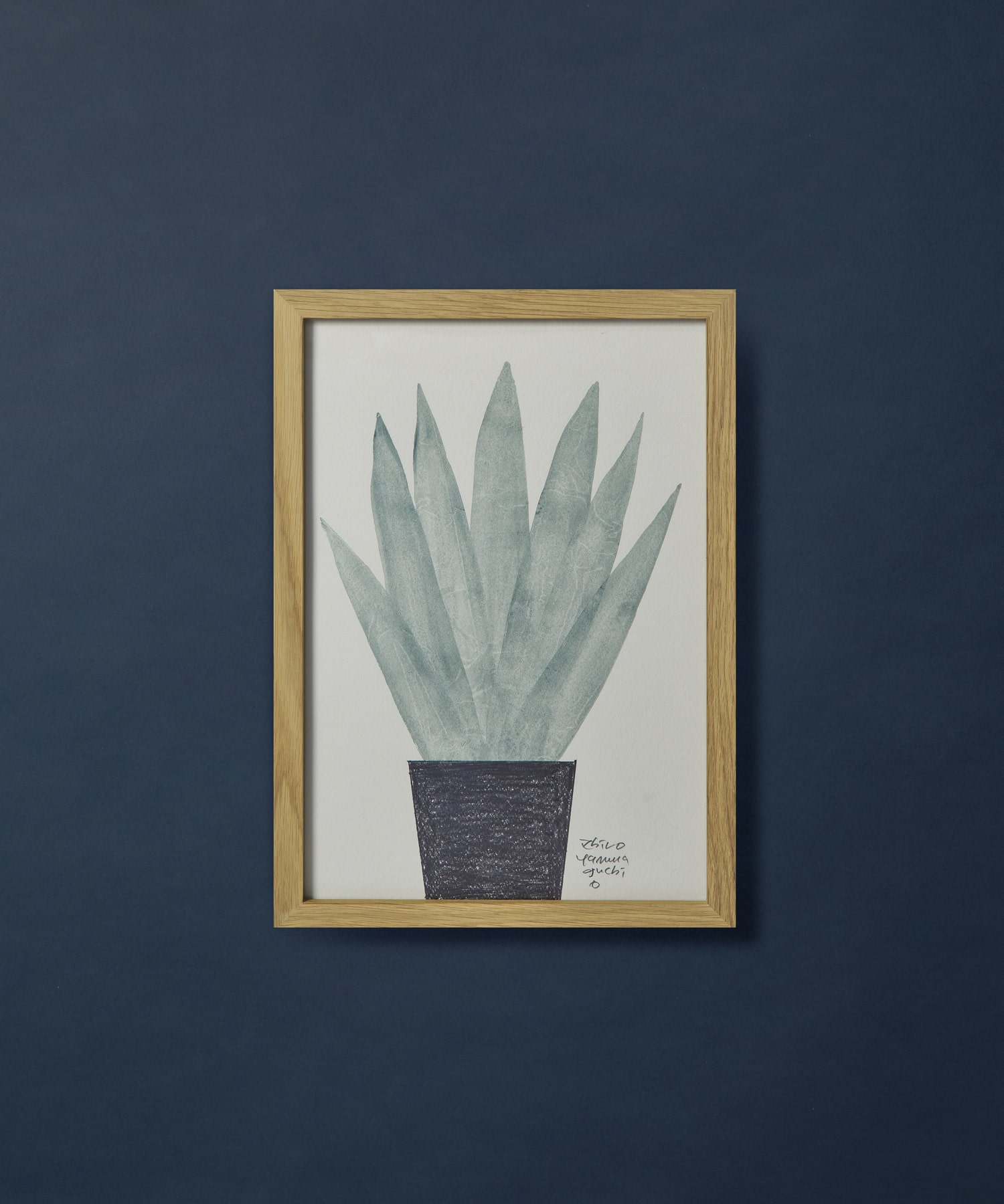 【congés payés】【山口一郎さん原画】ユッカロストラータ 詳細画像 A 1