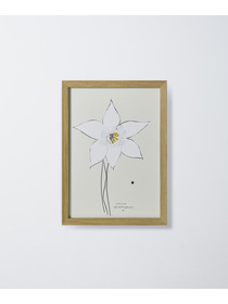 【congés payés】【山口一郎さん原画】HANA白 2 詳細画像 A 1