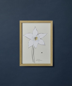 【congés payés】【山口一郎さん原画】HANA白 2 詳細画像 A 1