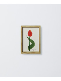 【congés payés】【山口一郎さん原画】neo flower 1（ポストカードサイズ） 詳細画像 C 2