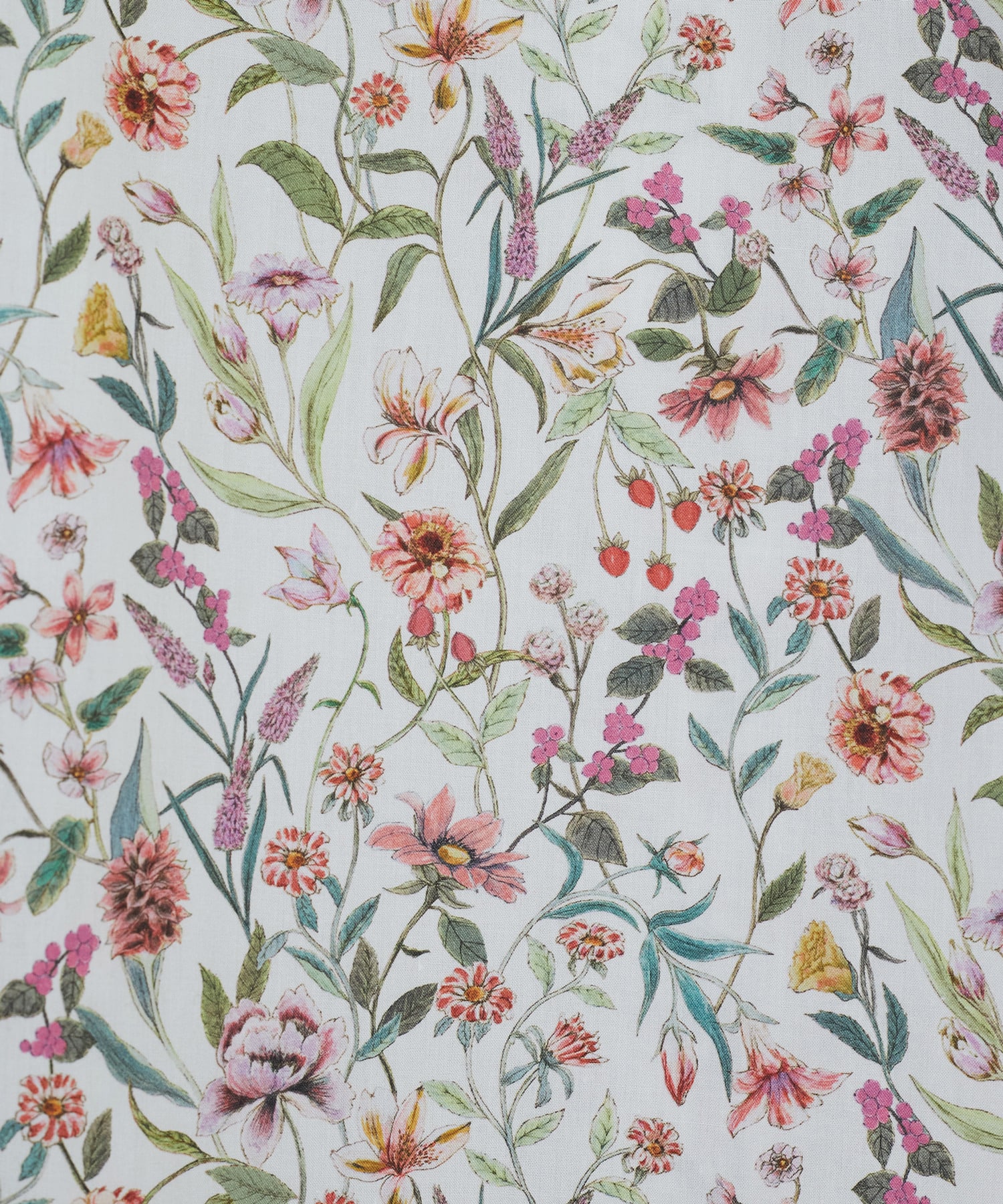 【ADIEU TRISTESSE】フリルカラーブラウス 詳細画像 ネイビー 23