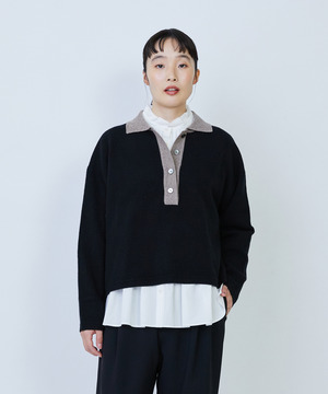 ウール天竺ポロニットウール天竺ポロニット