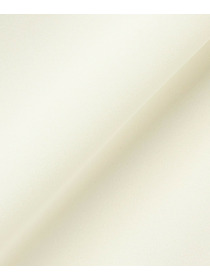 【wb】wb バックサテンジョーゼットVネックブラウス 詳細画像 オフホワイト 29