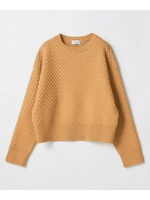 【MOGA】ヴィッテルスリムクルーネックショートニット 詳細画像 オレンジ 23