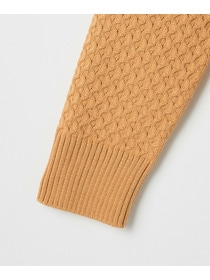 【MOGA】ヴィッテルスリムクルーネックショートニット 詳細画像 オレンジ 26