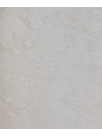 【ADIEU TRISTESSE】フラワージャカードブラウス 詳細画像 ブラック 17