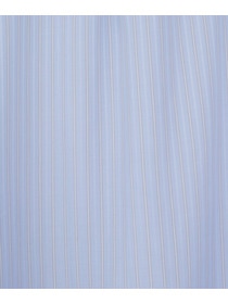 【ADIEU TRISTESSE】ストライプフリルブラウス 詳細画像 ブルー系その他 18