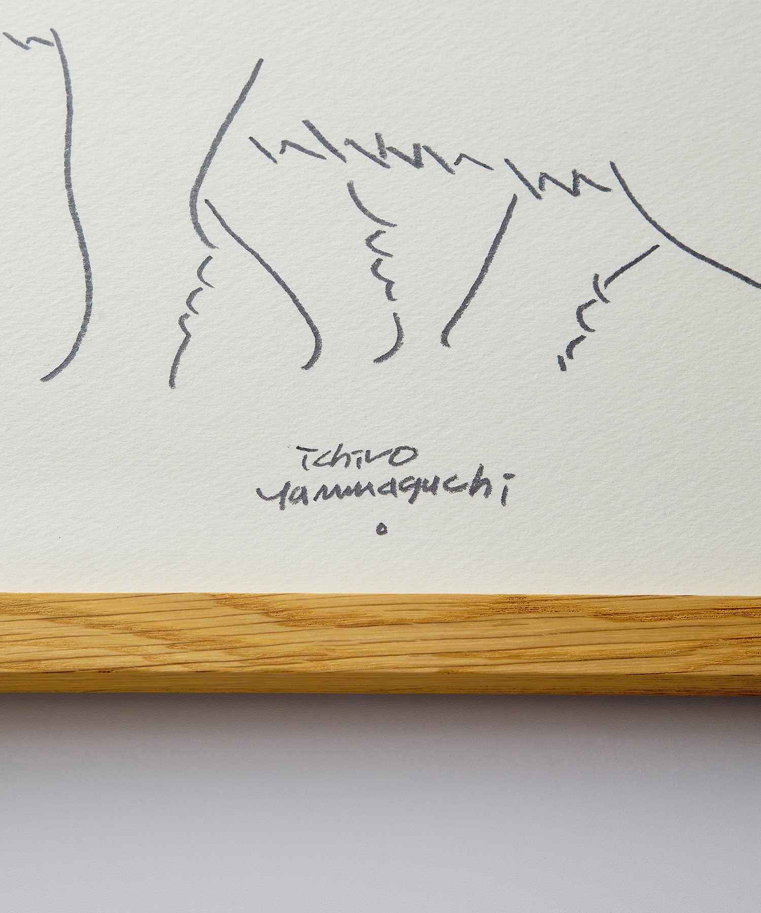 【congés payés】【山口一郎さん原画】 シロクマ 詳細画像 A 2