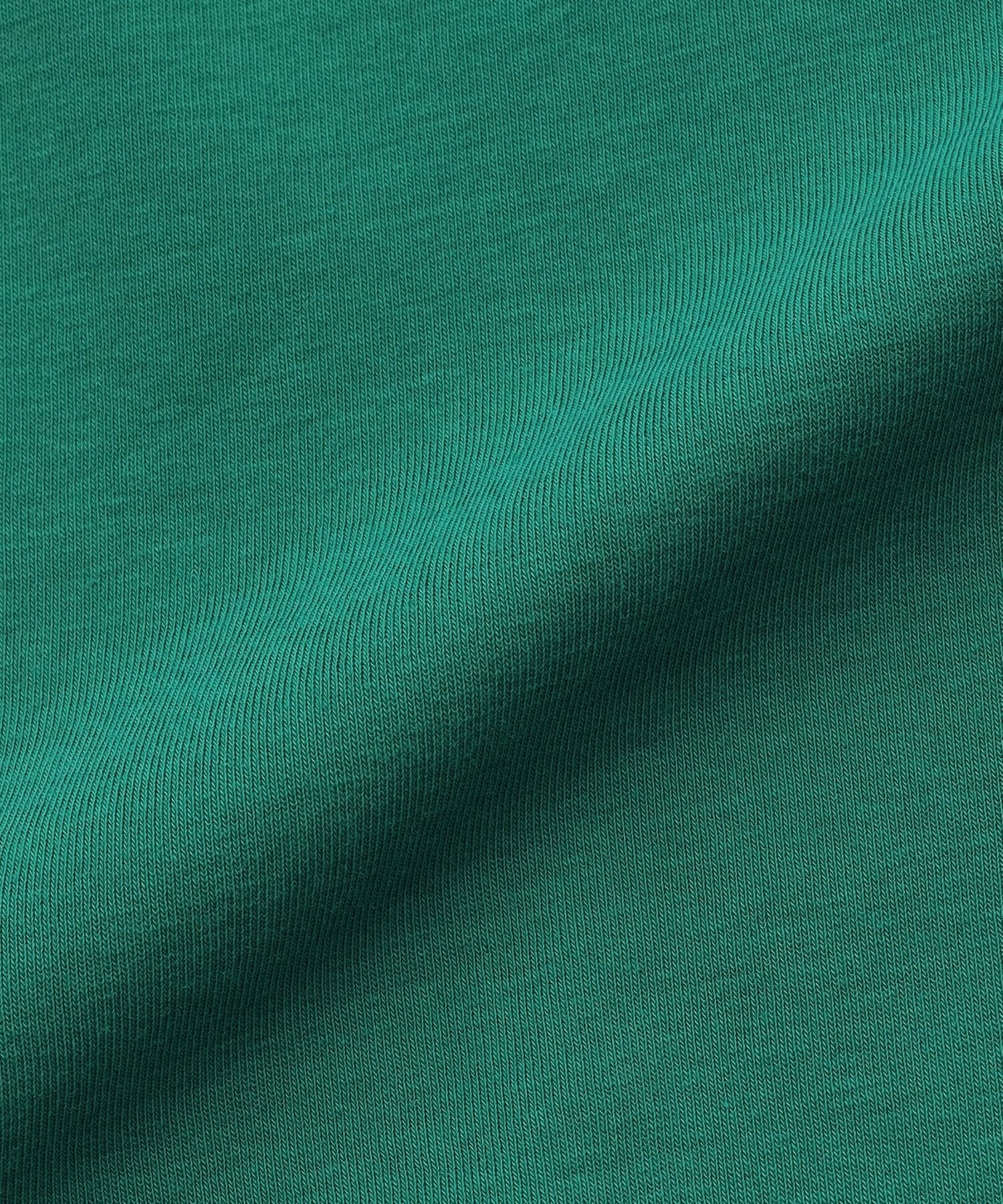 【MOGA】【Lサイズ】フレスカビンテージジャージトップス 詳細画像 グリーン 18