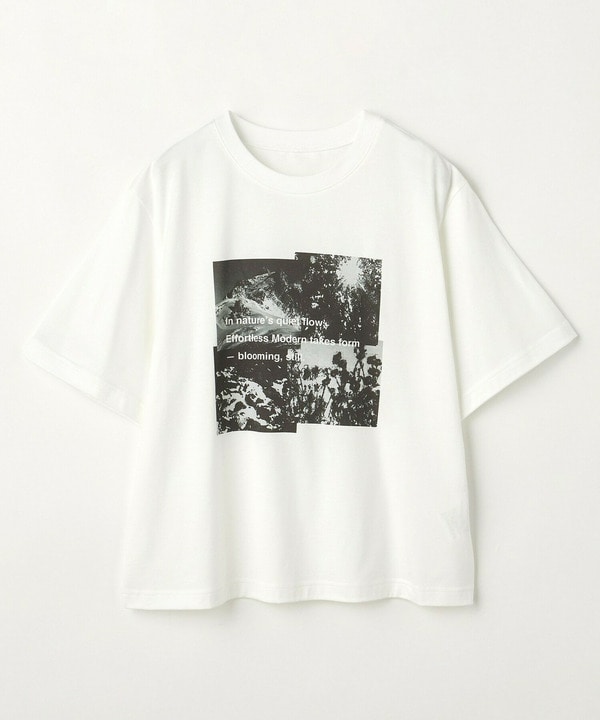 フォトプリントTシャツ 詳細画像 ホワイト 2