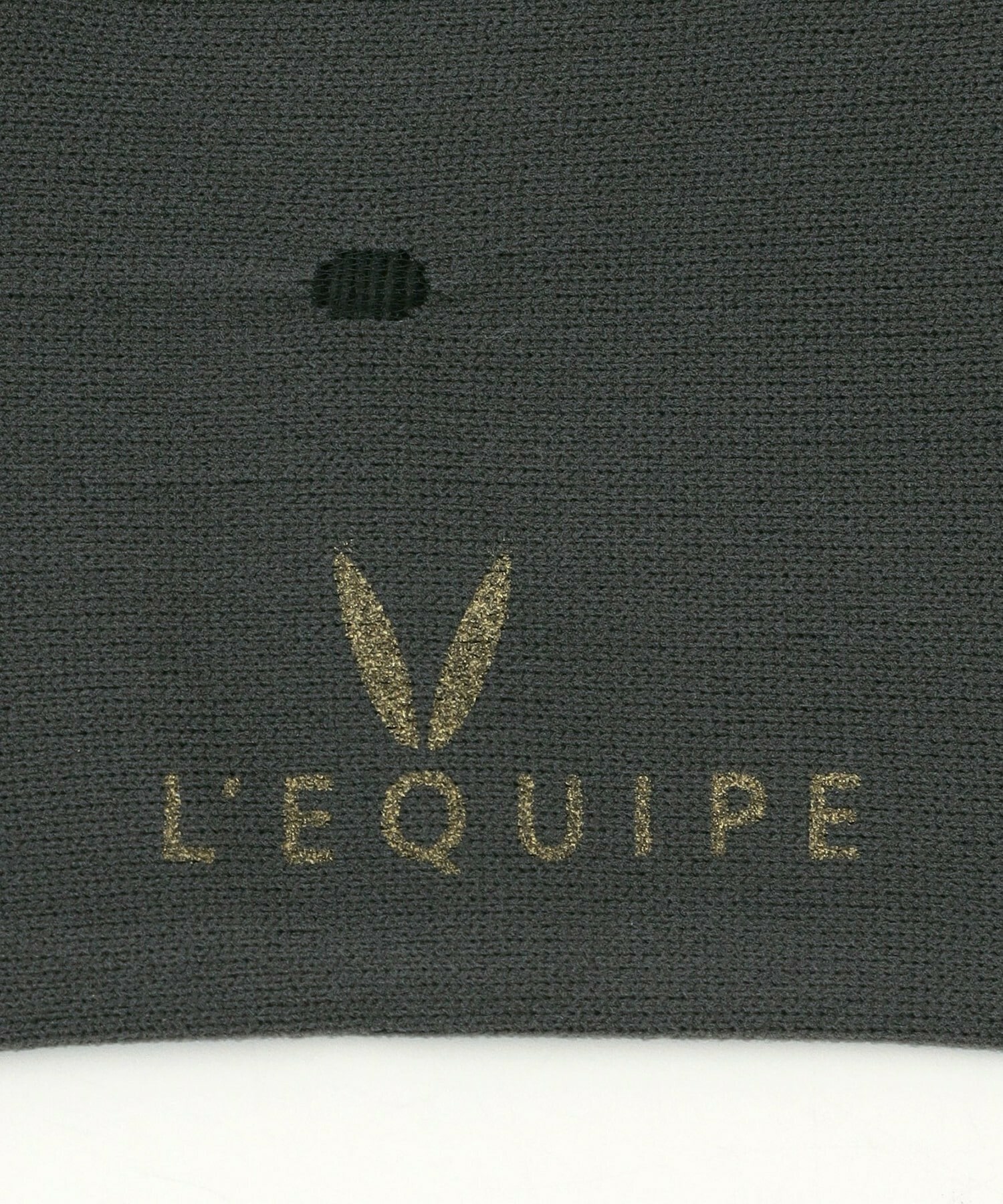 【L'EQUIPE】シースルードットソックス 詳細画像 ブラック 4