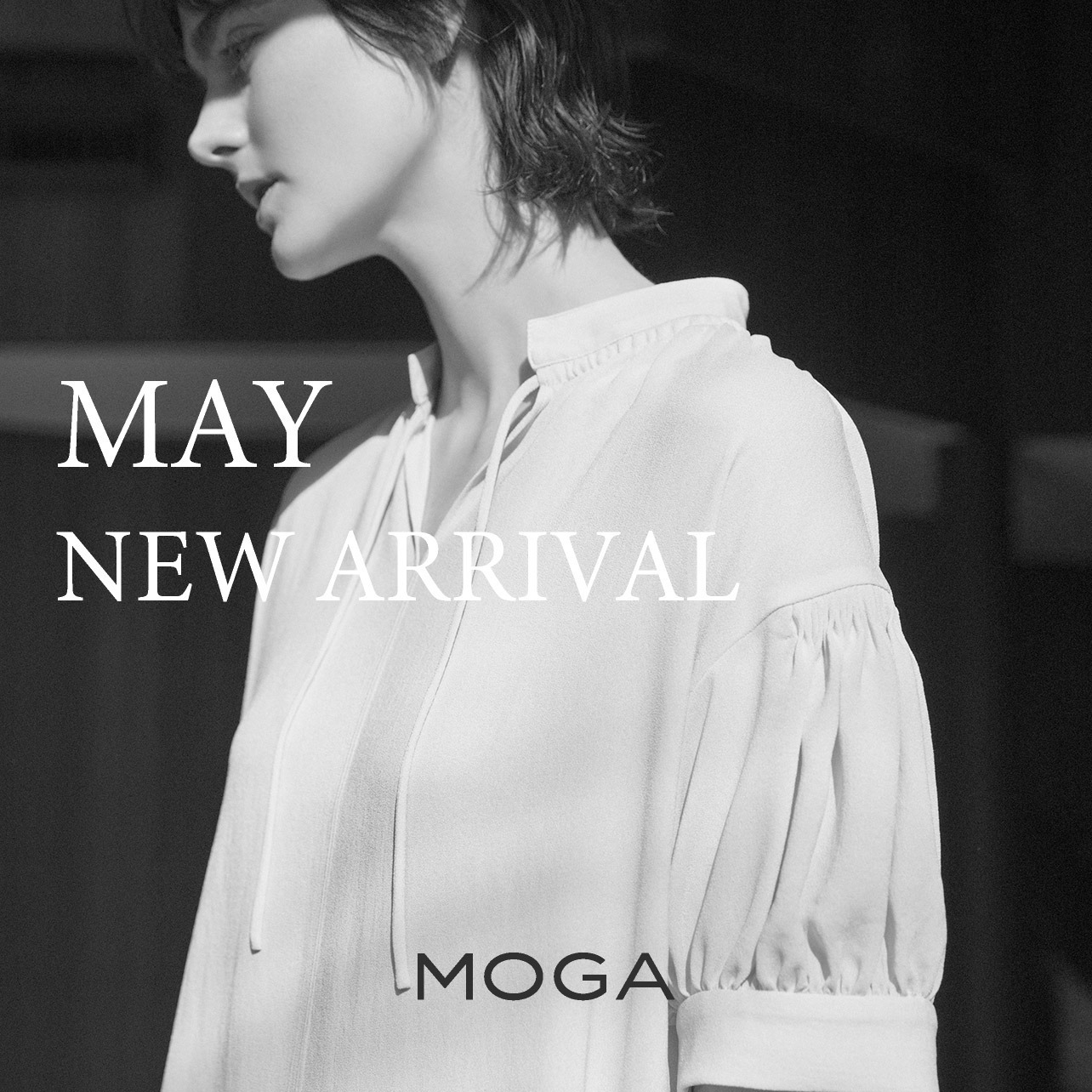 【MOGA】5月の新商品
