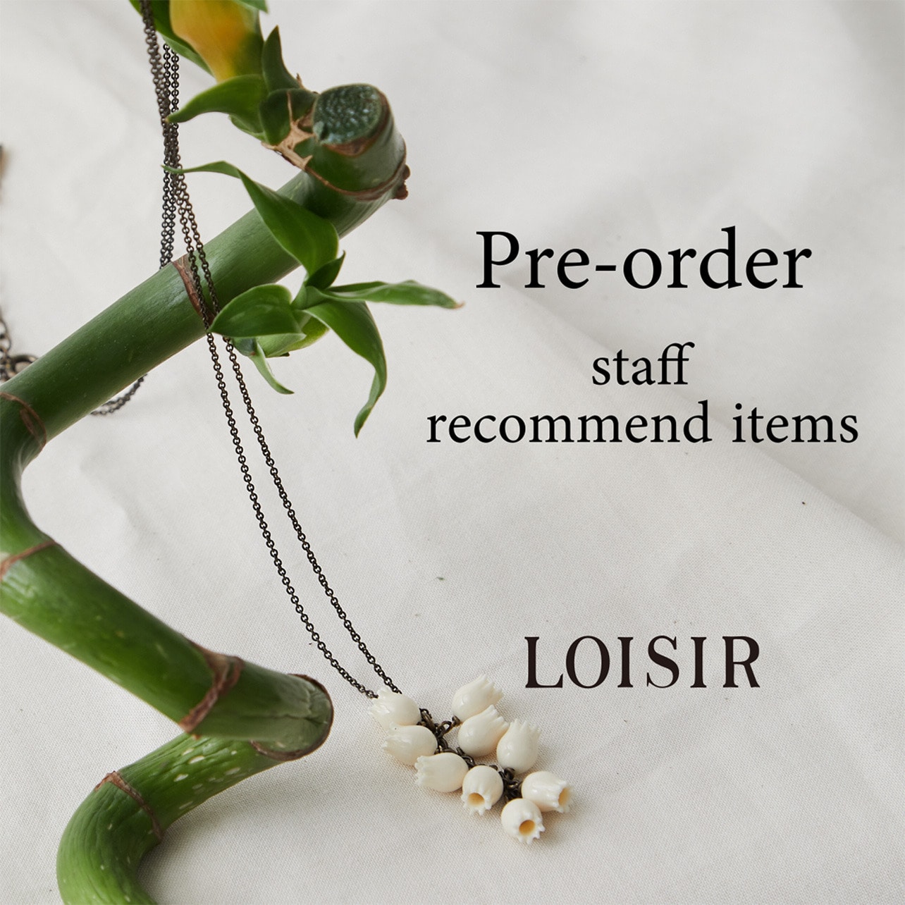 Pre-order staff recommend items					