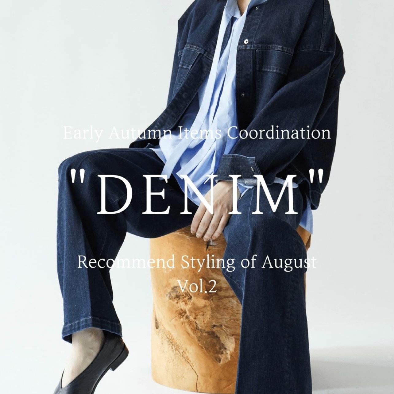 Recommend Styling of August Vol.2 "DENIM"