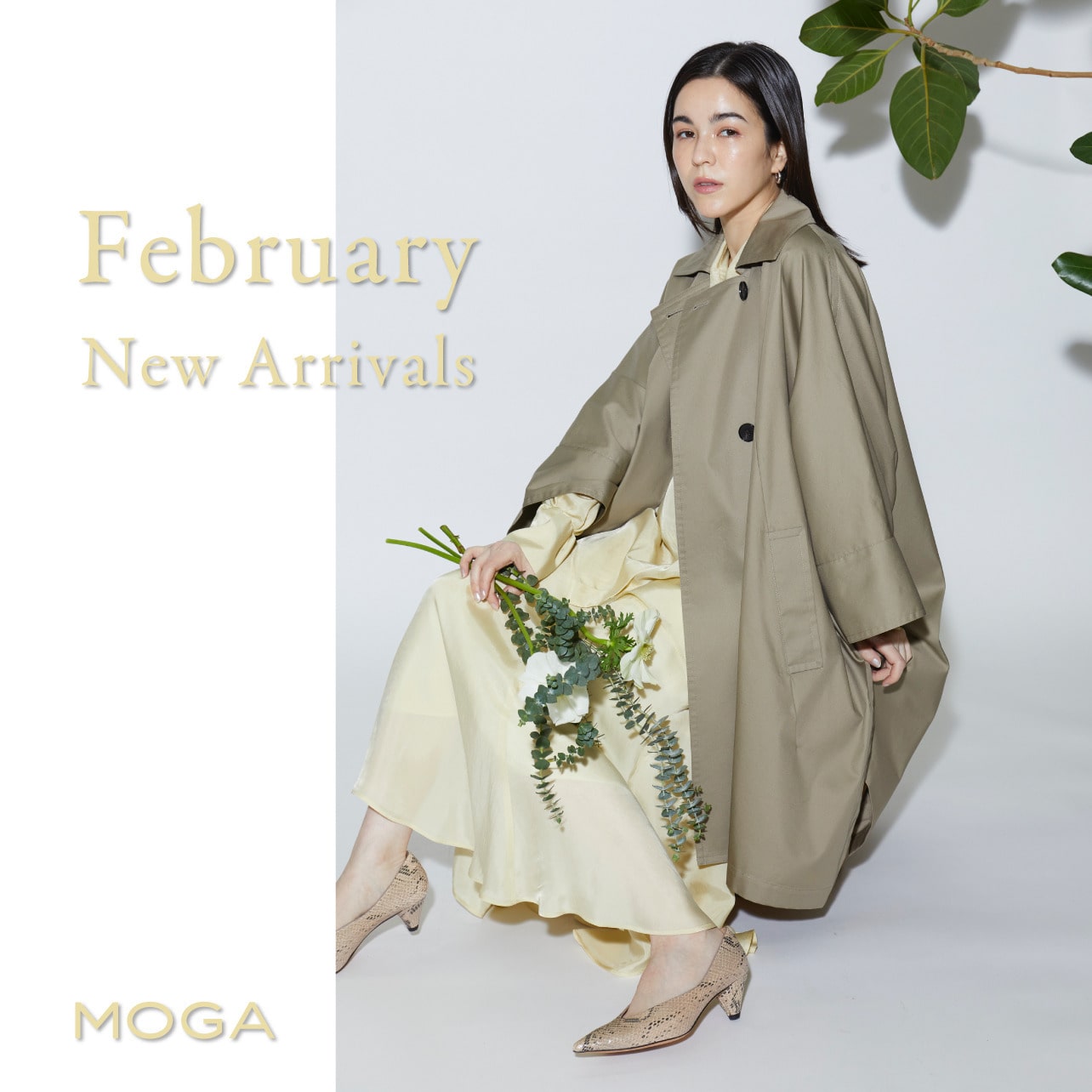 MOGA 23 February New Arrivals