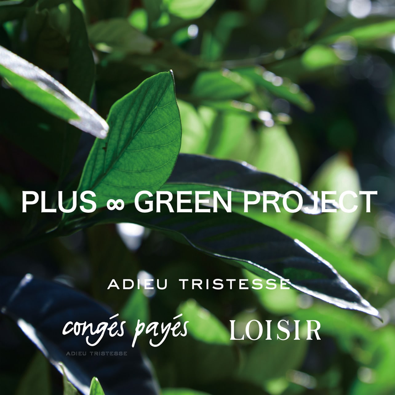 PLUS ∞ GREEN PROJECT
