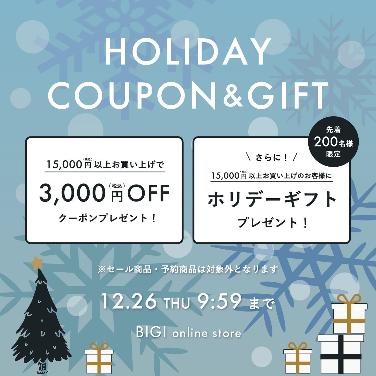 HOLIDAY COUPON & GIFT