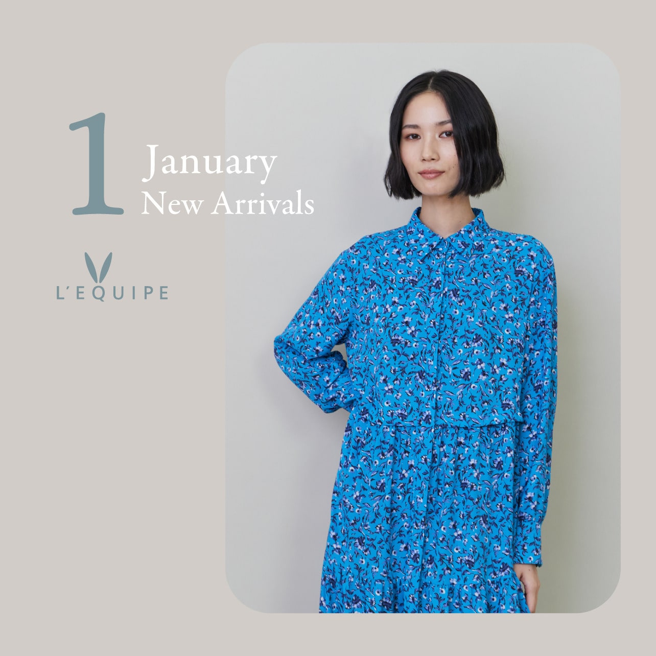 January New Arrivals