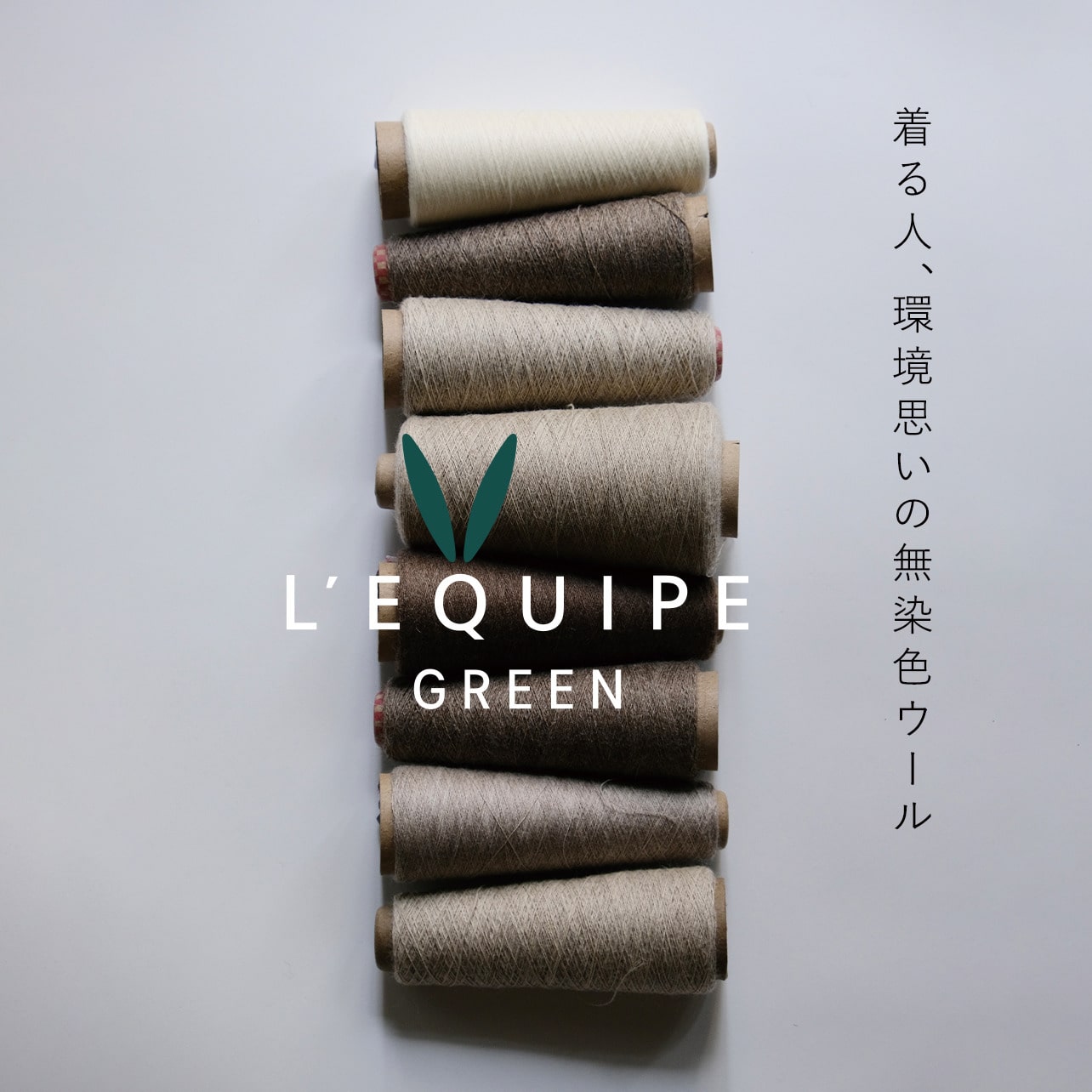 美品 LEQUIPE ウール混 ワンピース 38 日本製 ビギ レディース 楽天市場】【日本製】 尾州ウール混 ゆったり あったか