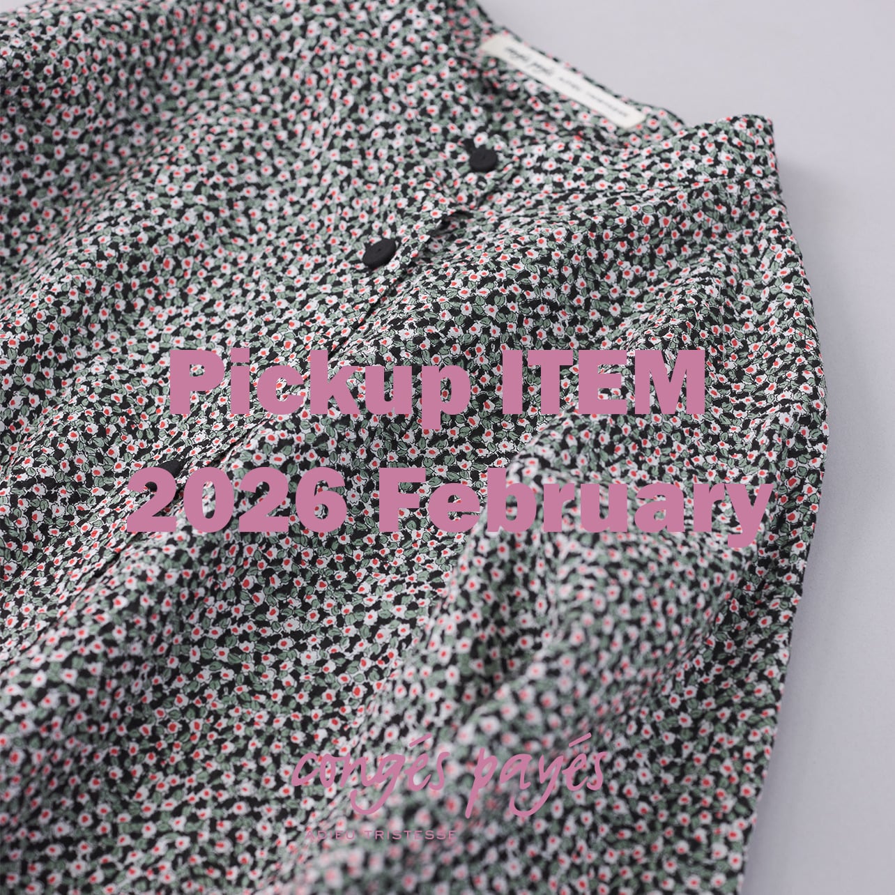 Pickup ITEM 2026 February