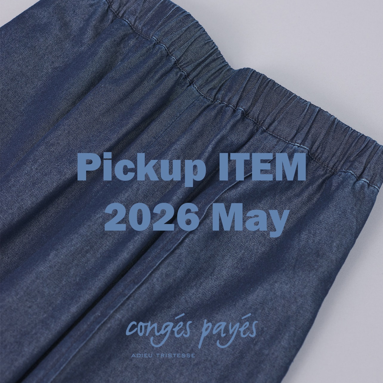 Pickup ITEM 2026 May