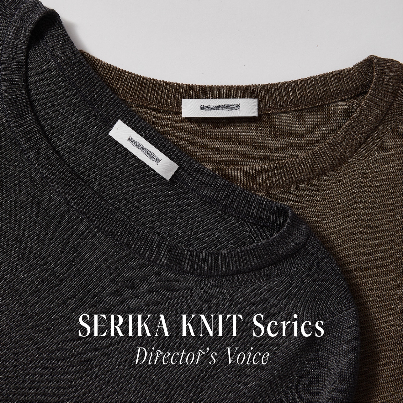 Director's Voice